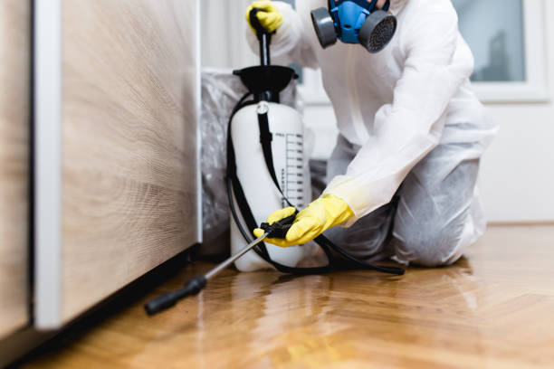 Best Wildlife Control Services  in Hickory Hls, IL