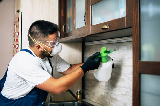 Best Pest Inspection Near Me  in Hickory Hls, IL