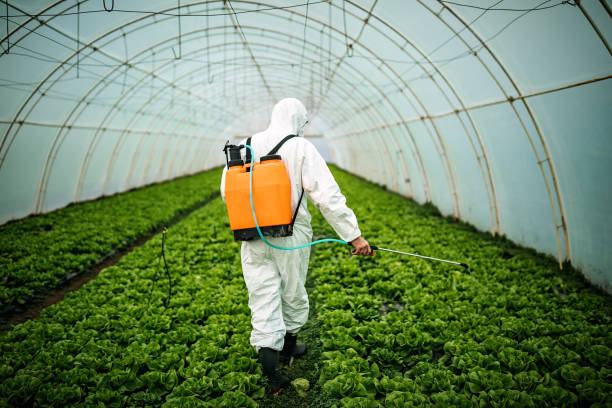 Best Residential Pest Control  in Hickory Hls, IL