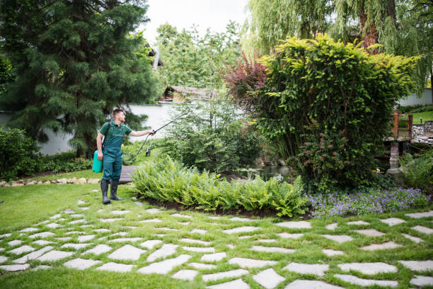 Flea Control Services in Hickory Hills, IL