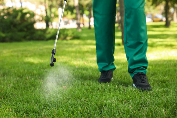 Best Pest Inspection Near Me  in Hickory Hls, IL