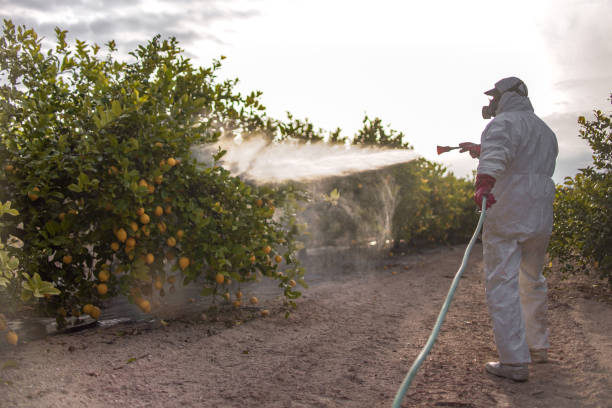 Best Affordable Pest Control Services  in Hickory Hls, IL