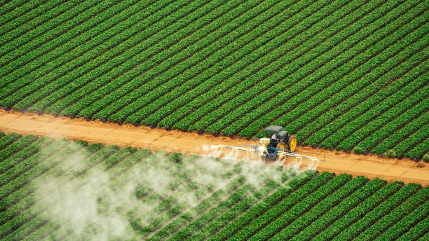 Best Pest Removal Services  in Hickory Hls, IL