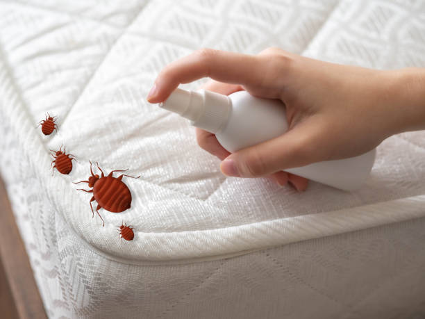 Best Pest Inspection Near Me  in Hickory Hls, IL