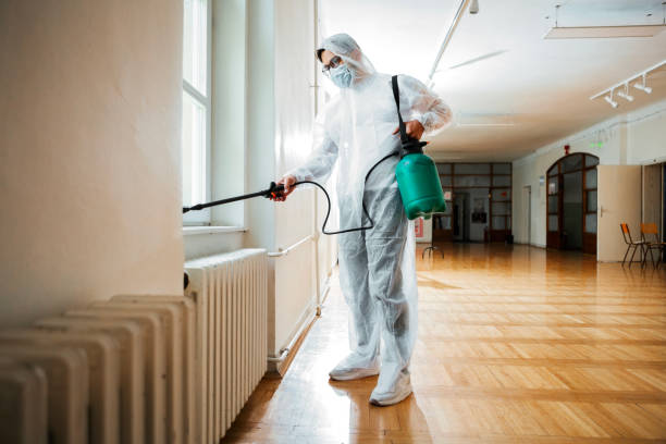 Best Ant Control Services  in Hickory Hls, IL